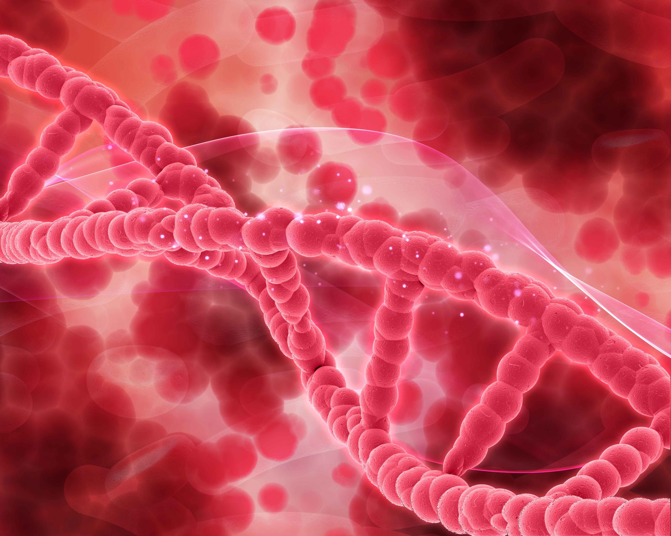 Thalassemia